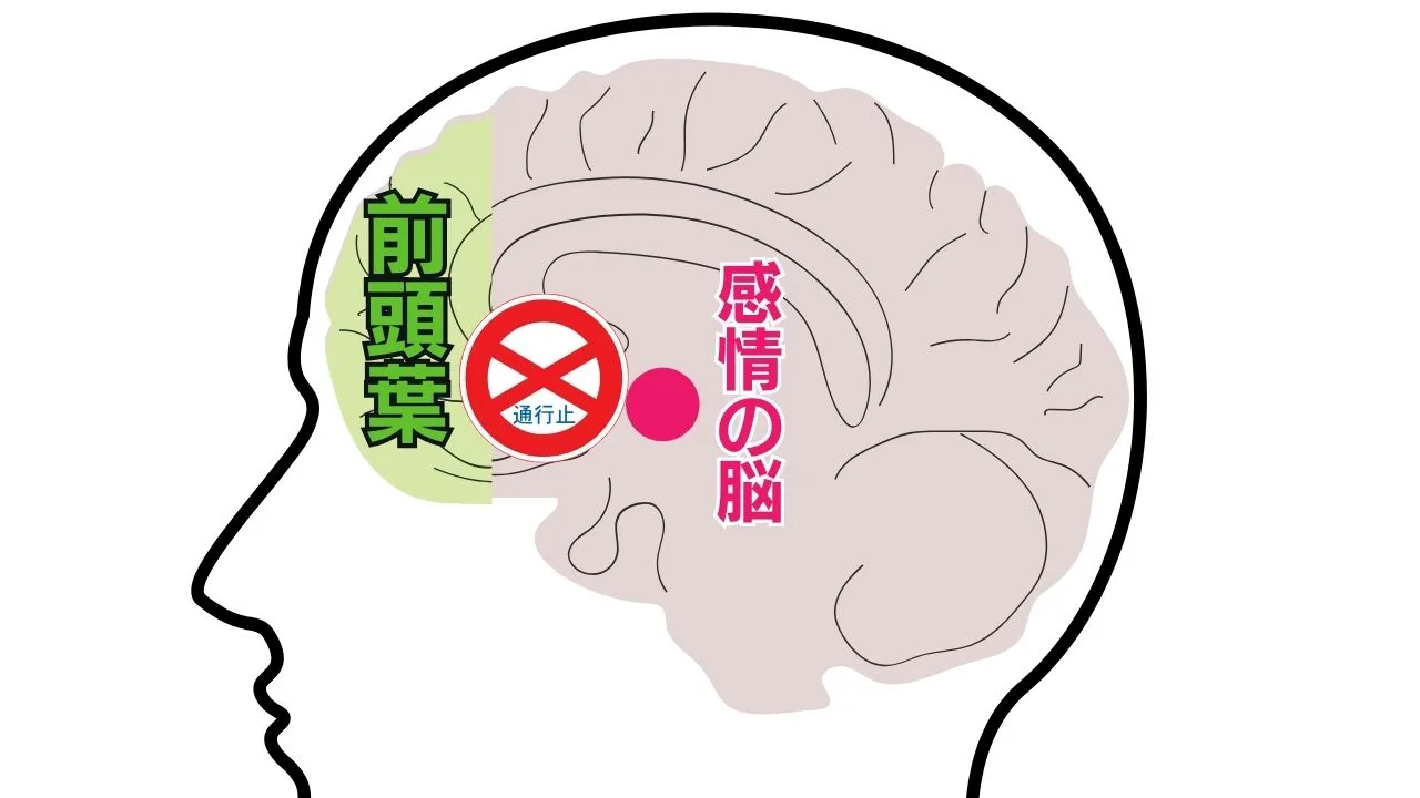 ストレス　頭の中がごちゃごちゃ　脳科学メンタルカウンセリング