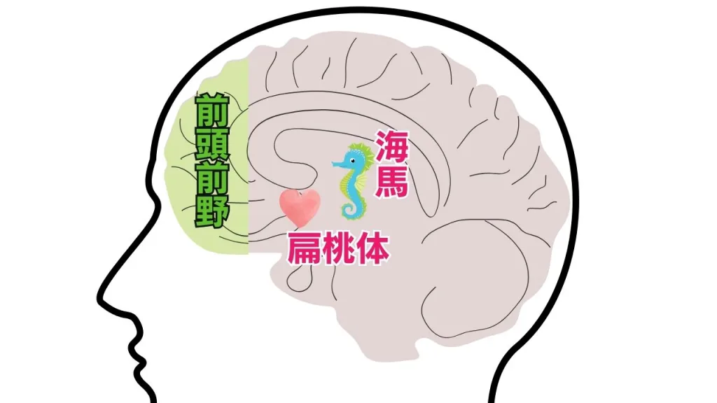 マイナス思考止まらない　脳科学メンタルカウンセリング