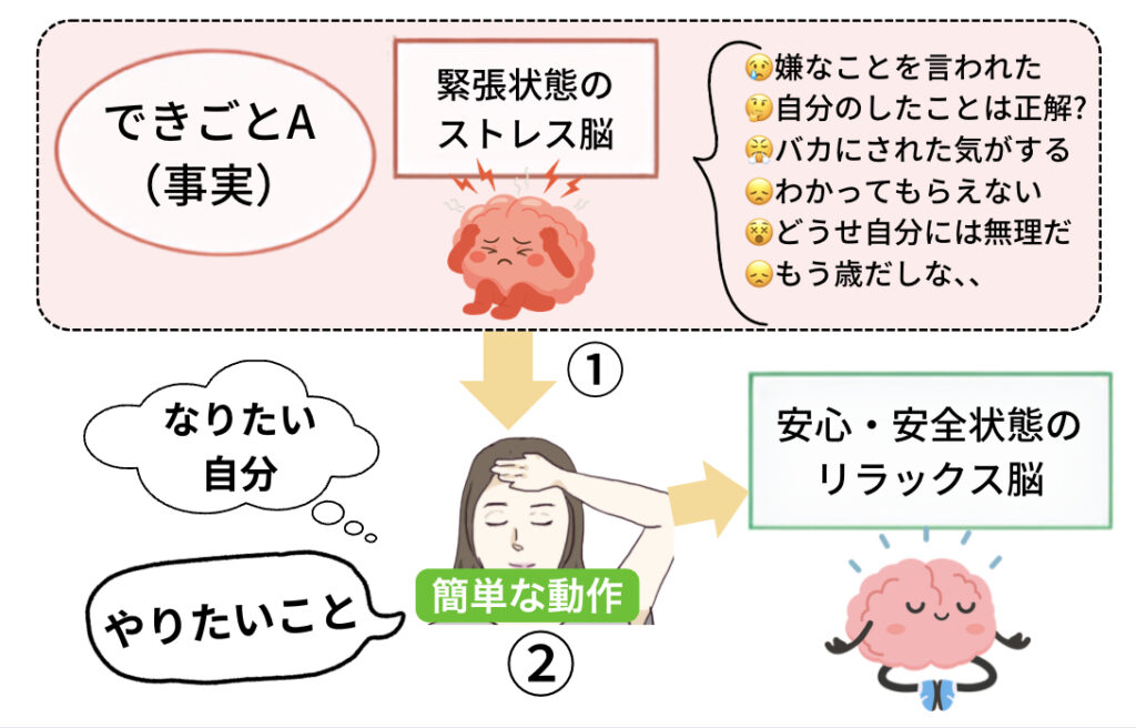 感情がコントロールできない本当の理由